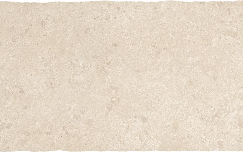 Anticato Crema