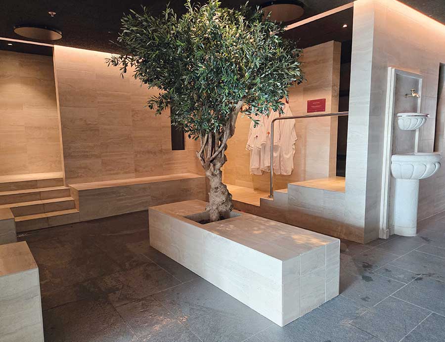 chorus spa